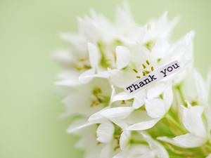 プロポリスで若々しく健康的な毎日を